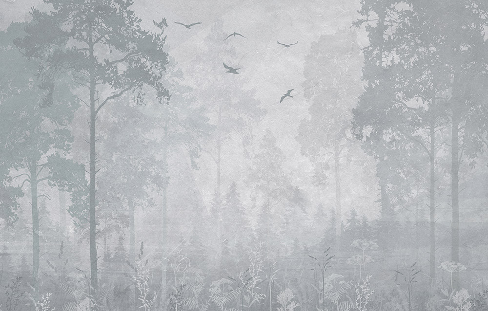 Fototapeta Poranny las