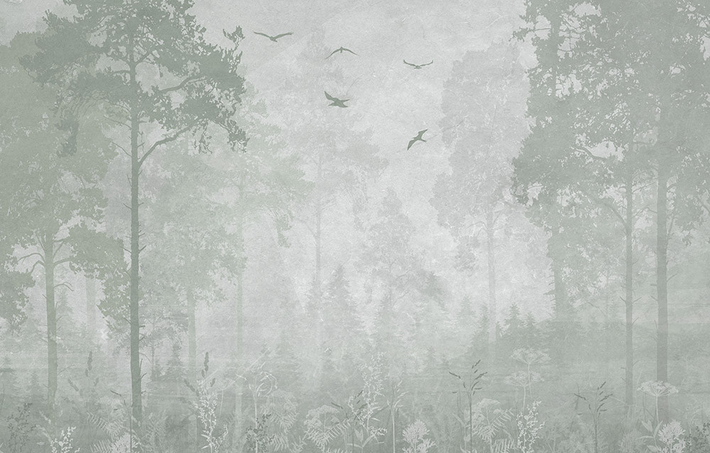 Fototapeta Poranny las