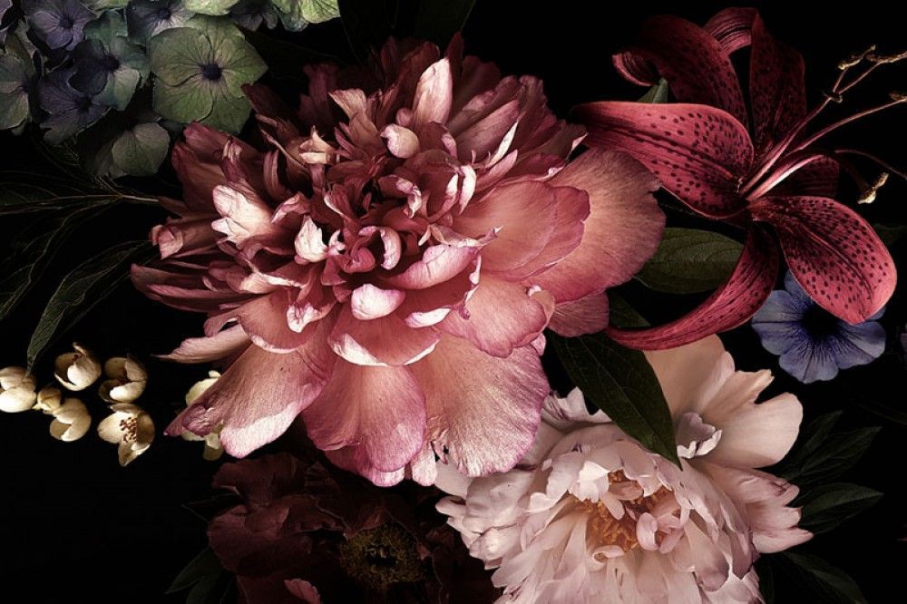 Fototapeta Kwiaty 3D na Czarnym Tle