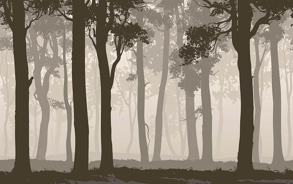 Fototapeta Las Liściasty Ilustracja, Wzór 