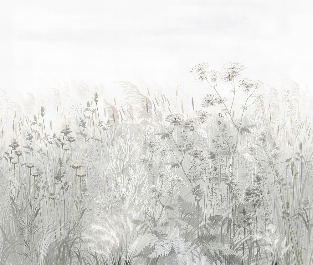 Fototapeta Piękne kwiaty na łące