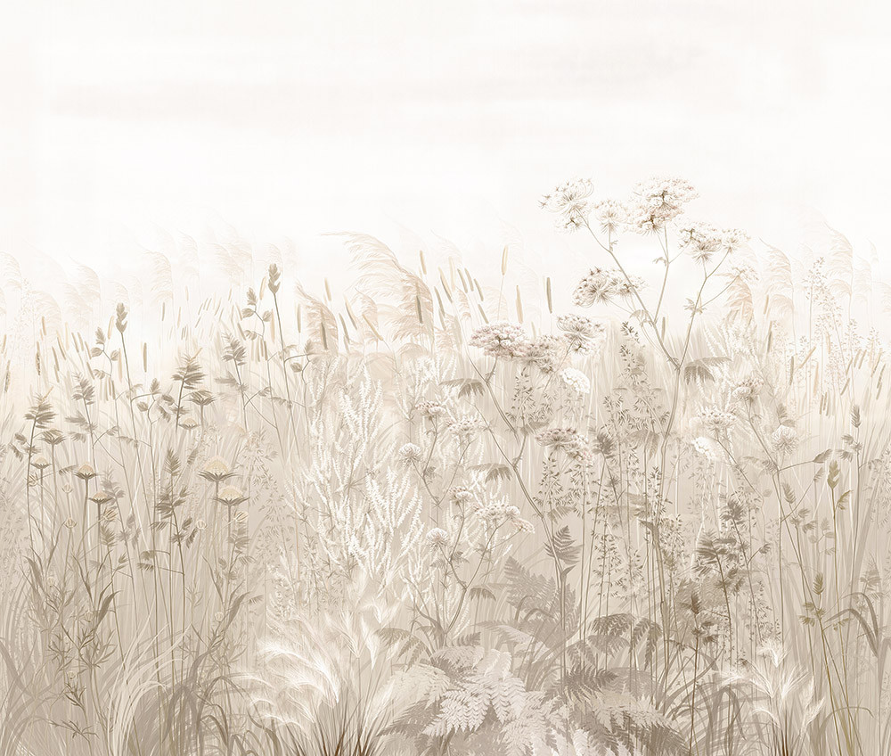 Fototapeta Piękne kwiaty na łące