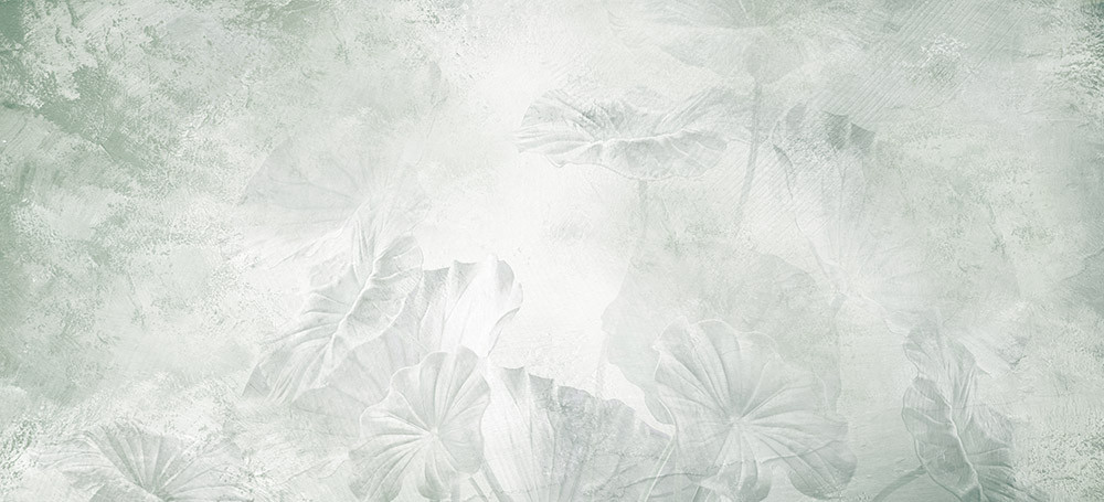 Fototapeta Wodne liście