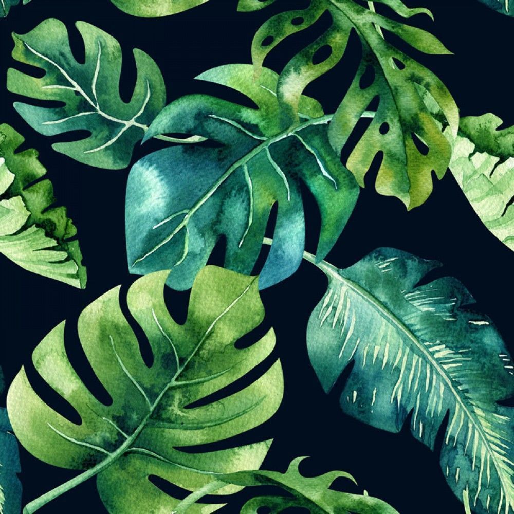 Fototapeta Wzór tropikalnych zielonych liści na czarnym tle