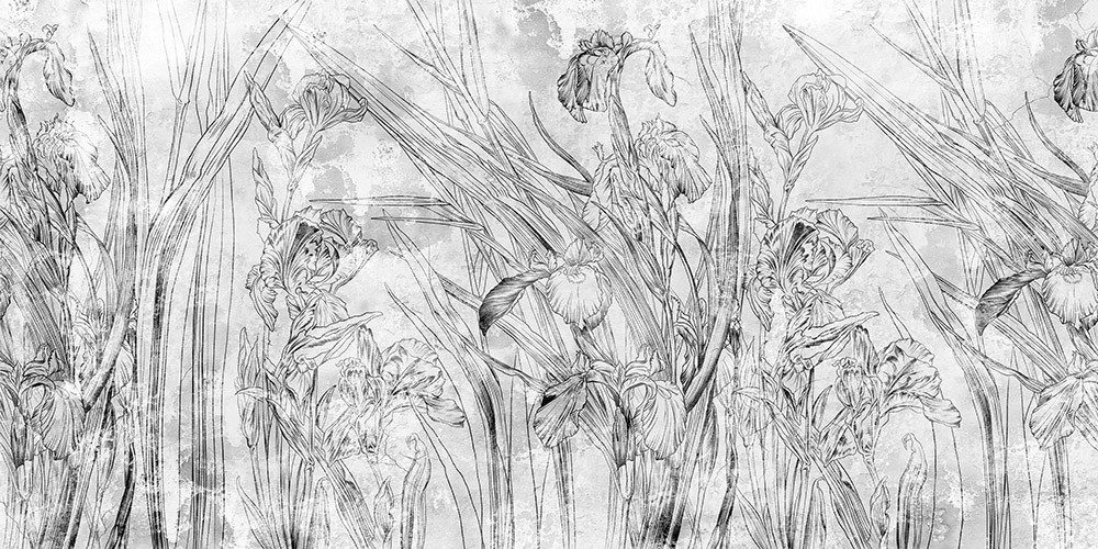 Naklejka na meble Kwiaty Irysy Szkic 