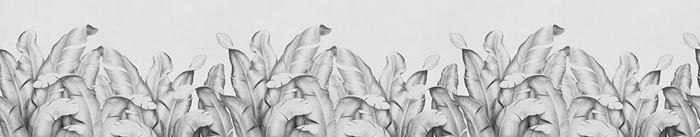 Fototapeta Tropikalne liście bananowca