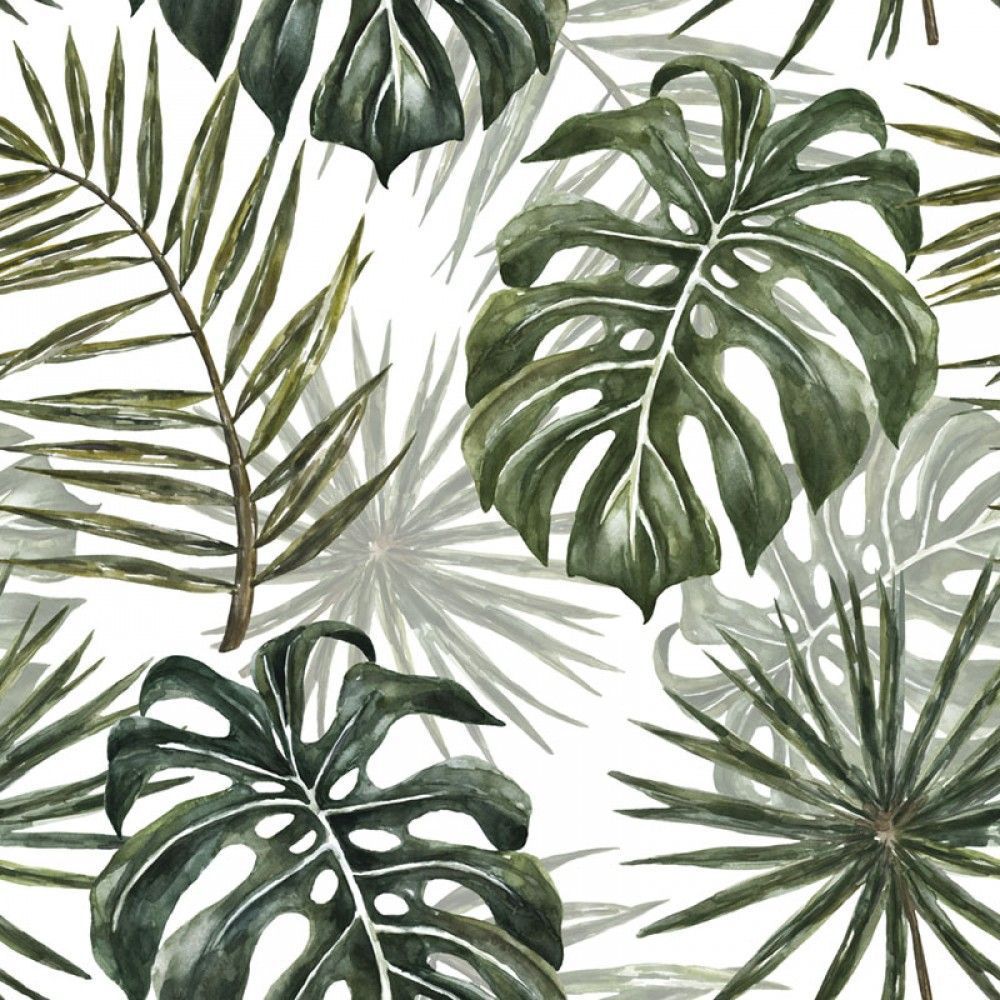 Fototapeta Akwarela Tropikalne Liście Palmowe na białym Tle - botaniczny wzór