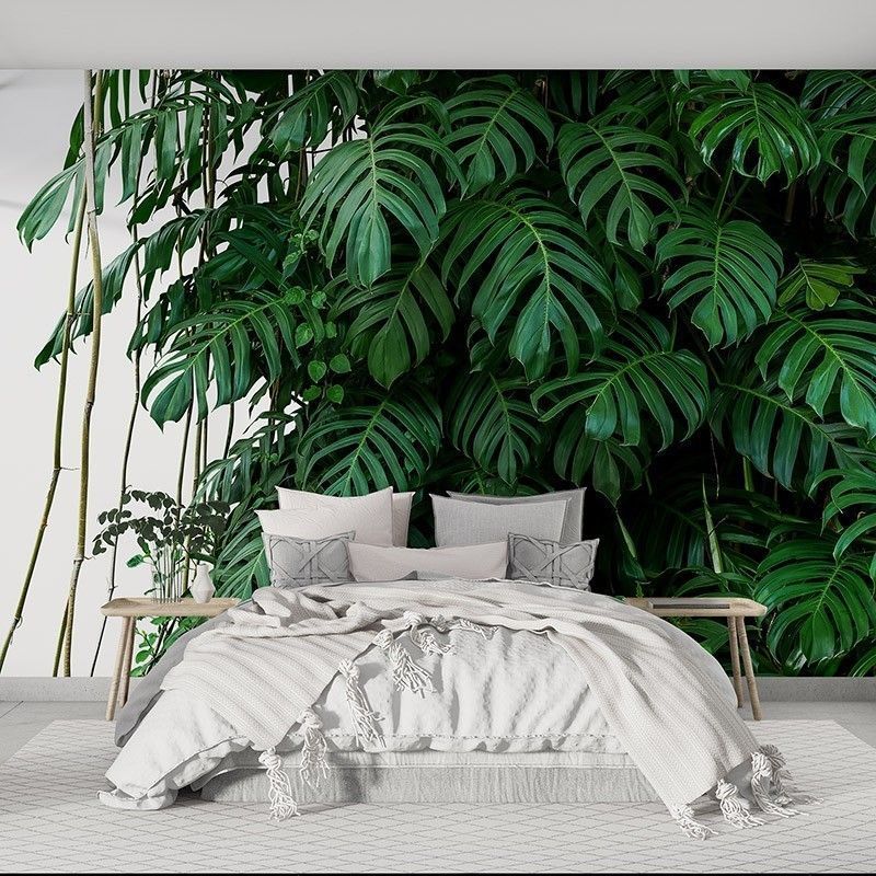 Liście Monstera na białym tle