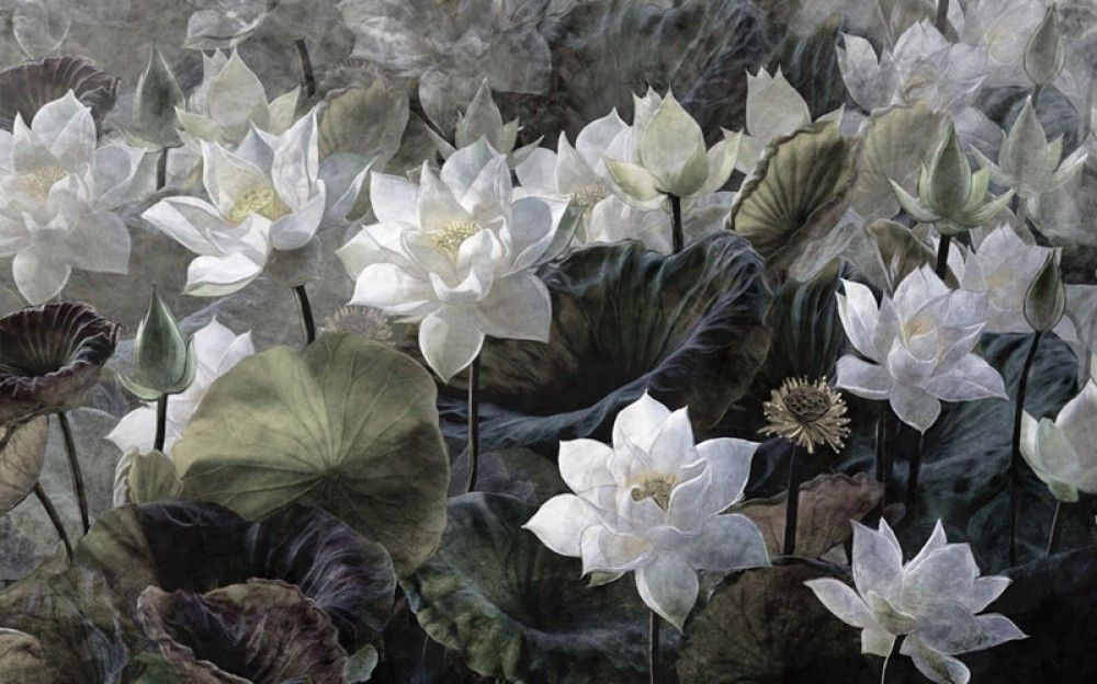 Naklejka na meble Białe kwiaty lotosu na ciemnym tle