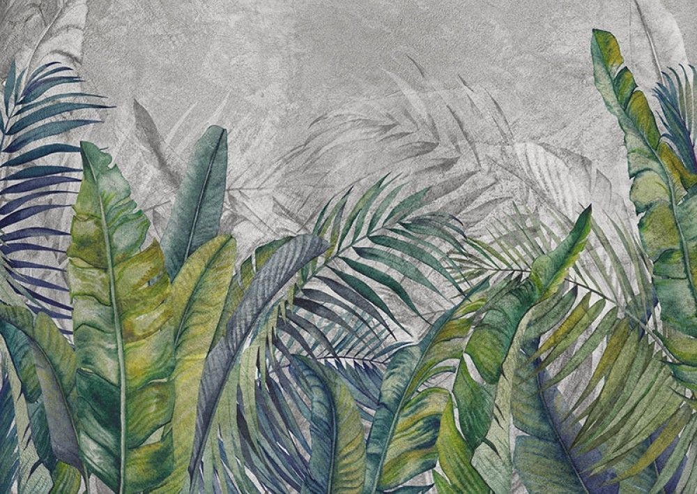 Fototapeta Tropikalne liście palmowe i bananowe na betonowym tle