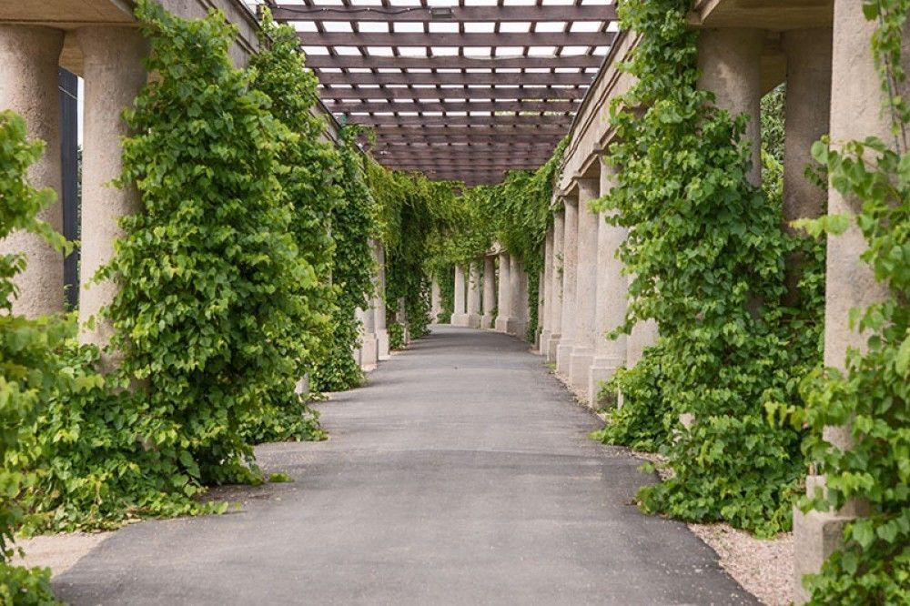 Naklejka na meble Piękna pergola ogrodowa
