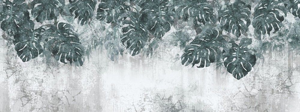 Fototapeta Tropikalne liście na betonowej ścianie