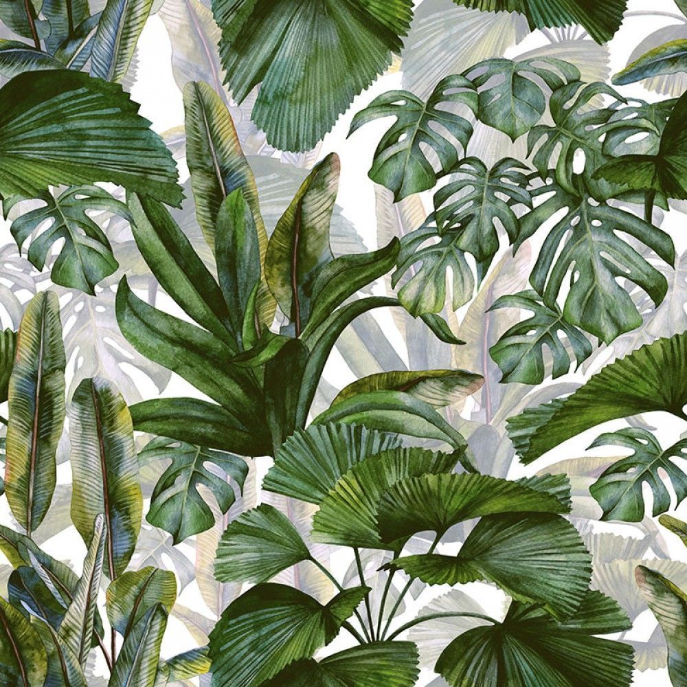  Tropikalne liście