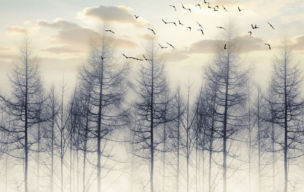 Fototapeta Drzewa i ptaki